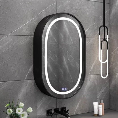 Miroir LED avec armoire, ovale, 50x80 cm, désembuage, lumière froide/chaude/neutre, cadre noir, espace de rangement