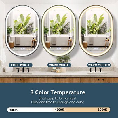 Miroir LED avec armoire, ovale, 50x80 cm, désembuage, lumière froide/chaude/neutre, cadre noir, espace de rangement