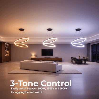 Lustre LED Suspendu avec Télécommande CASIANA 40W, 2 Cercles, Lumière Froid/Chaude/Neutre 3000K/4000K/6000K, Intensité Variable, Noir, Hauteur Réglable, Métal et Acrylique