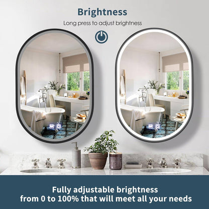Miroir LED avec armoire, ovale, 50x80 cm, désembuage, lumière froide/chaude/neutre, cadre noir, espace de rangement