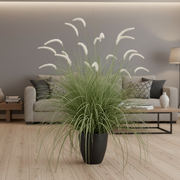 Plante ornementale de gazon artificiel sétaire, 120 cm, herbe courbée et épices, vert et blanc, sans pot