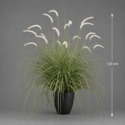 Plante ornementale de gazon artificiel sétaire, 120 cm, herbe courbée et épices, vert et blanc, sans pot