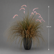 Plante ornementale de gazon artificiel sétaire, 120 cm, herbe courbée et épices, vert et rose, sans pot