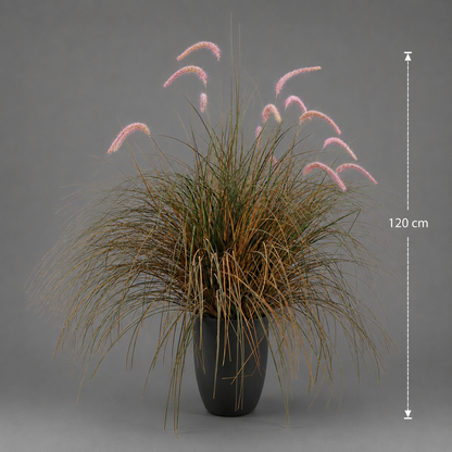 Plante ornementale de gazon artificiel sétaire, 120 cm, herbe courbée et épices, vert et rose, sans pot
