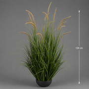 Plante ornementale de quenouilles artificielles, 120 cm, 17 tiges, herbe courbée et épices, vert foncé, sans pot