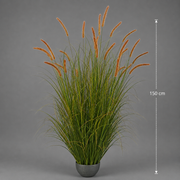Plante ornementale de quenouilles artificielles, 150 cm, 26 tiges, herbe courbée et épices, vert foncé, sans pot
