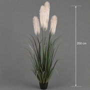 Plante ornementale artificielle, 200 cm, avec 4 brins, roseau et herbe, vert et gris, sans pot