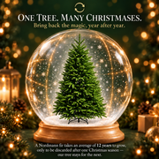 Sapin EIS artificiel, 150 cm, 356 pointes, Vert