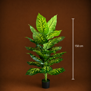 Decorațiune Dieffenbachia, Plastic, 150 cm, Verde