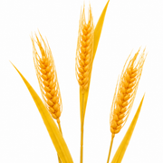 Plante artificielle ornementale, 83 cm, avec 3 fils, épice de blé, jaune, sans pot