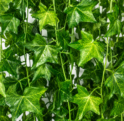Guirlande de lierre artificiel, 12 branches x 72 feuilles, vert