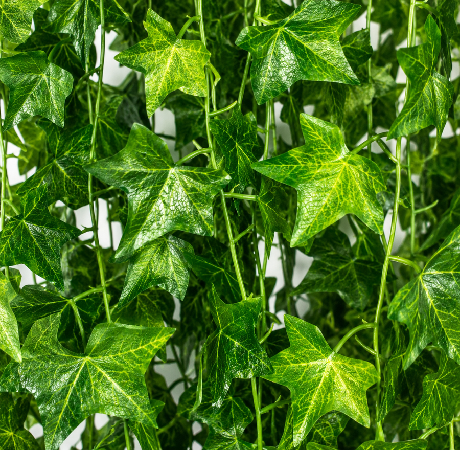 Guirlande de lierre artificiel, 12 branches x 72 feuilles, vert