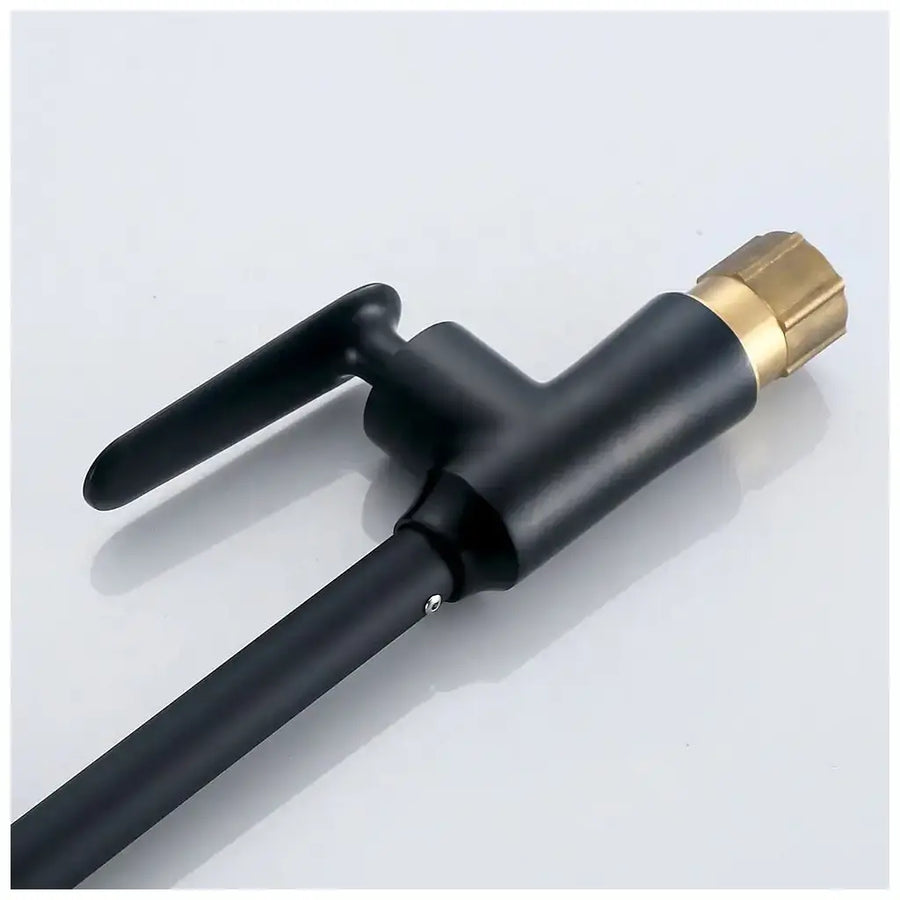 Robinet de lavabo cartouche céramique noir bec rotatif raccords inclus EC01