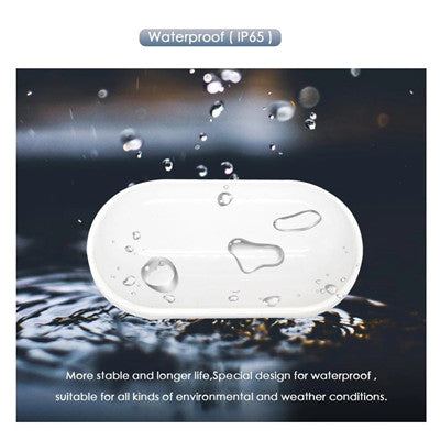 Applique murale extérieure LED AX320/218WH, 24W, Lumière chaude 3000K, IP65, Blanc, Métal