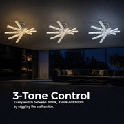 LT033_5 — LT033_5 - 4. 3-TONE CONTROL.jpg