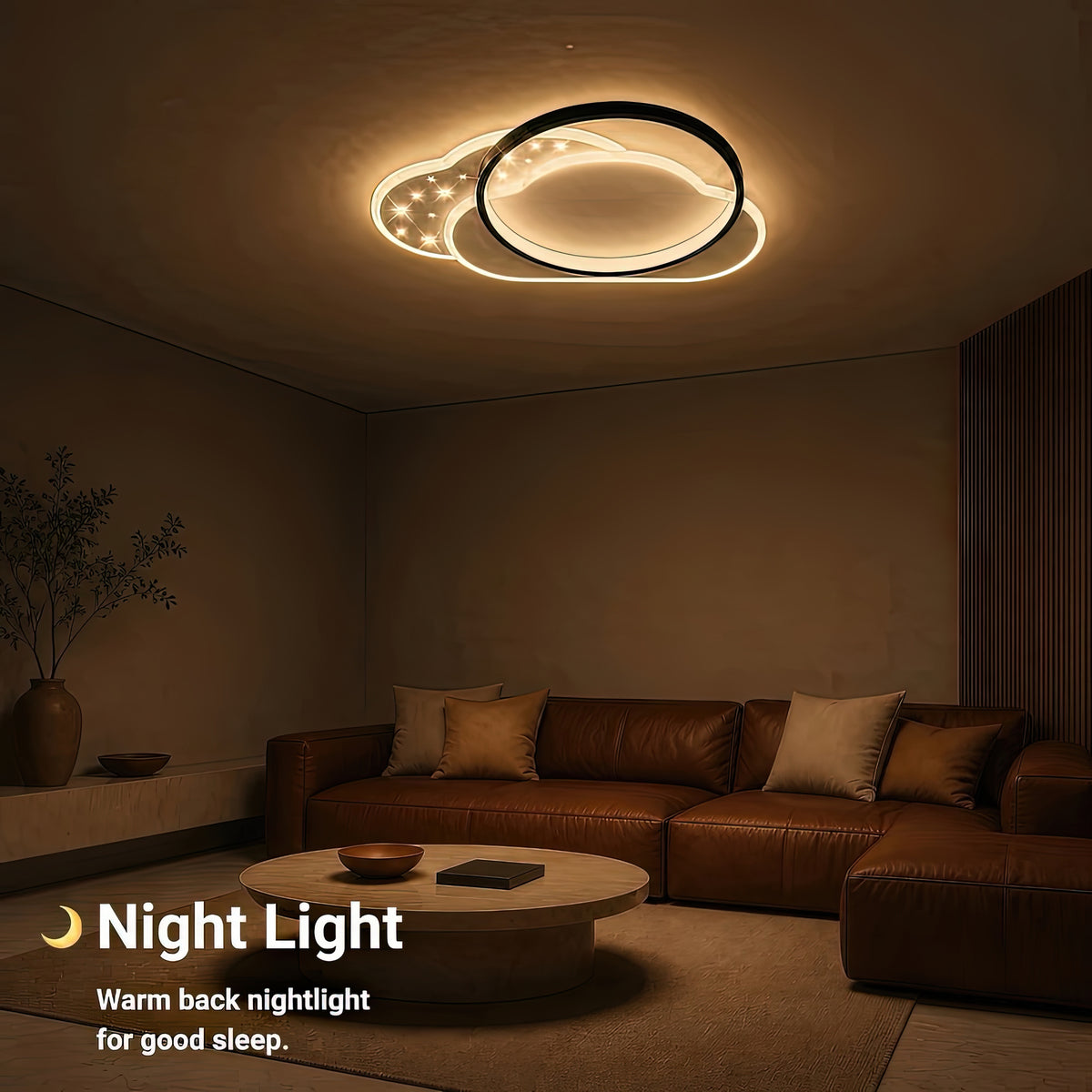 LT643_500BK — LT643_500BK - 5. NIGHT LIGHT.jpg
