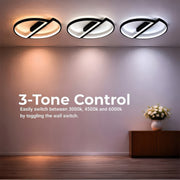 LT810BK — LT810BK - 4. 3-TONE CONTROL.jpg