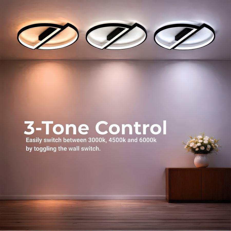 LT810BK — LT810BK - 4. 3-TONE CONTROL.jpg