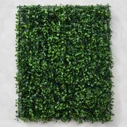 Panou de Gard Viu Artificial Aglaia Odorata, 40 x 60 cm, Verde