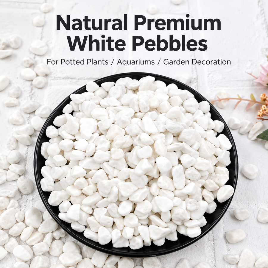 Pierres décoratives blanches pour le jardin, grand format, 20 kg
