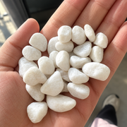 Pierres décoratives blanches pour le jardin, petit format, 20 kg