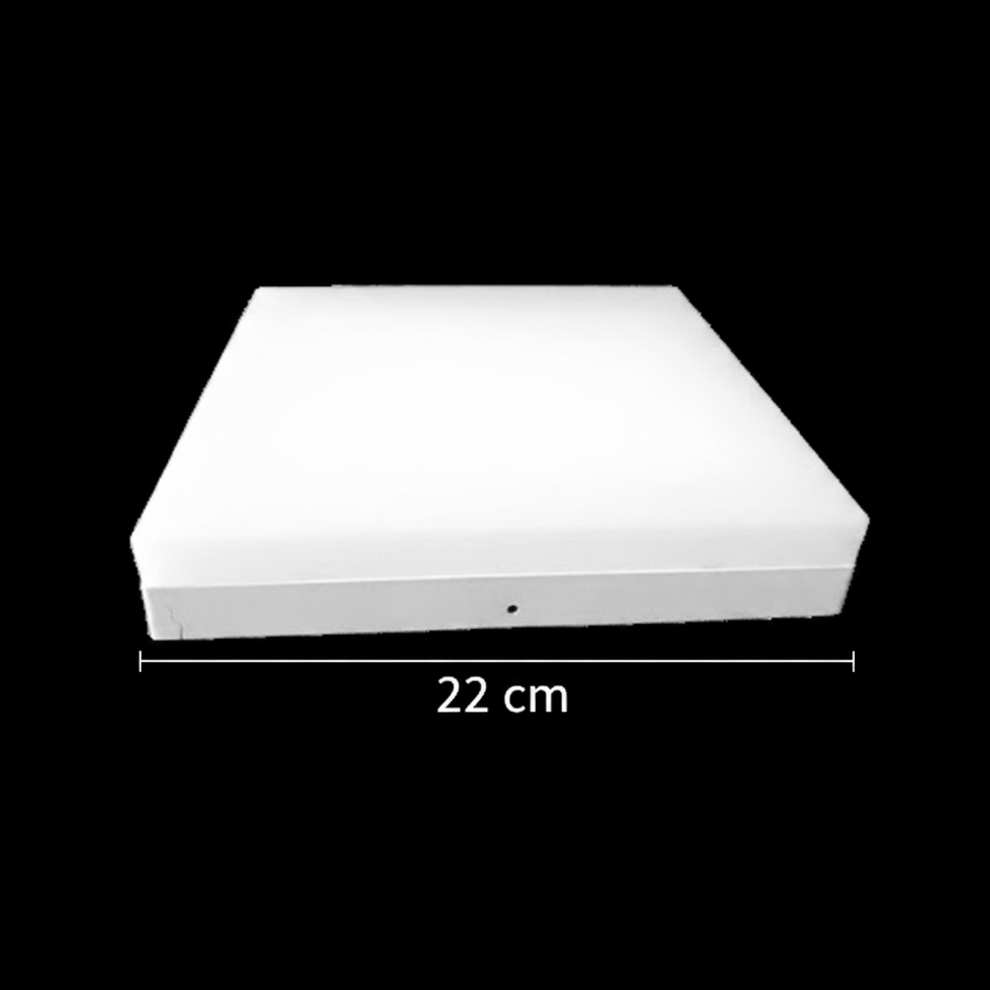 Plafonnier LED PL200/12P 19W Lumière froide 6000k Blanc Plafonniers LED Titre par défaut Alessandro Design