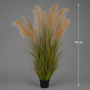 Herbe ornementale artificielle, 183 cm, avec 13 brins, roseau et herbe, vert foncé, sans pot