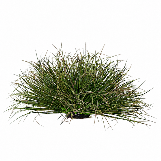 Plante artificielle courbée en forme d'oignon, 28 cm, faible densité, vert foncé, sans pot