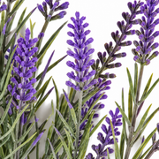 Plante artificielle, fleur de lavande décorative, 5 branches, 40 cm, violet et vert, lot de 2 pièces
