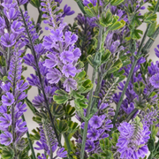 Plante artificielle, fleur de lavande décorative, 9 branches, 44 cm, violet et vert, lot de 2 pièces