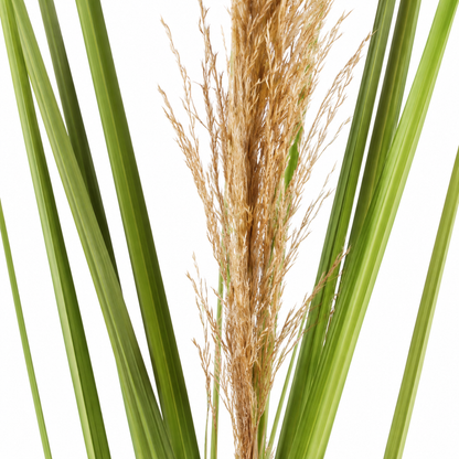 Plante ornementale artificielle, 110 cm, roseau et herbe, vert et marron, sans pot