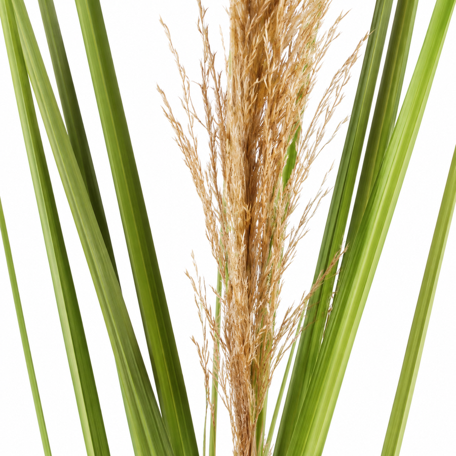 Plante ornementale artificielle, 110 cm, roseau et herbe, vert et marron, sans pot