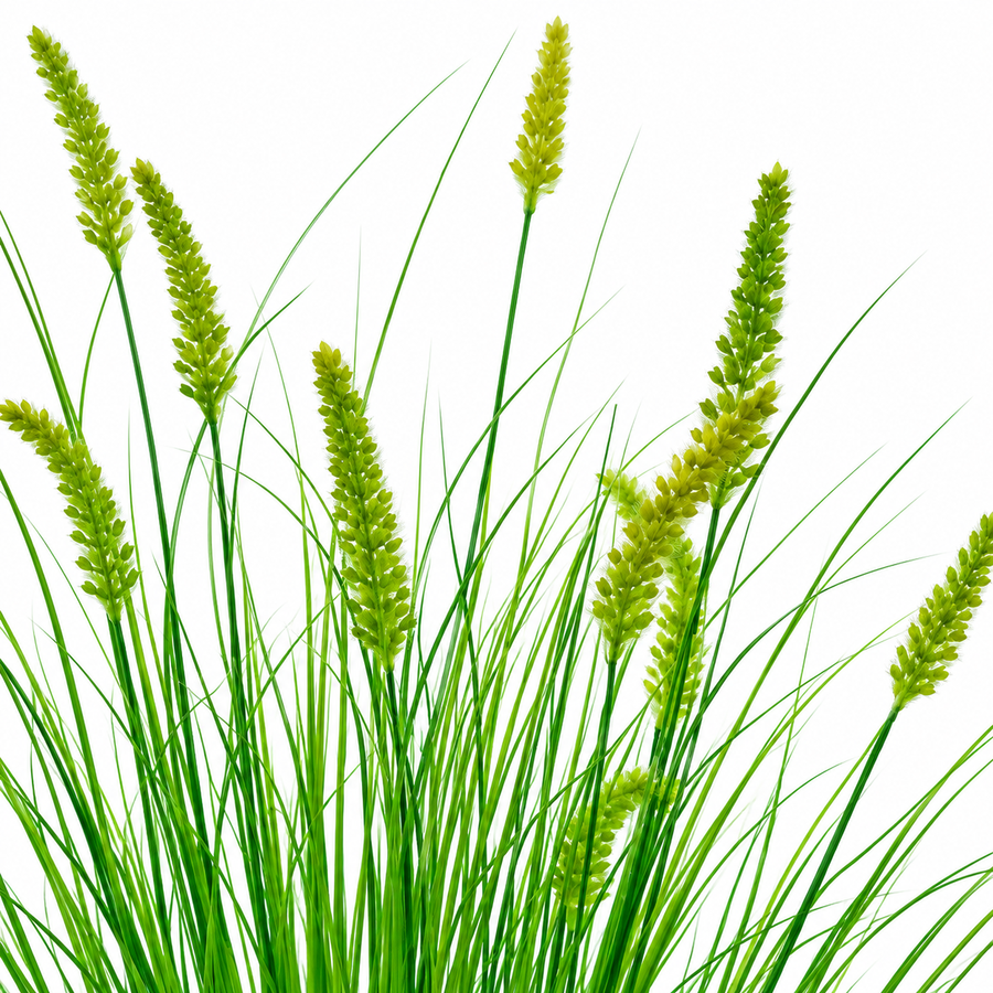 Plante ornementale artificielle de type queue de renard, 100 cm, avec 12 épices, verte, sans pot