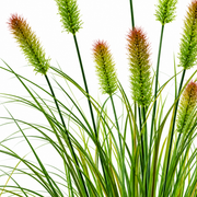 Plante d'herbe ornementale artificielle de type queue de renard, 100 cm, avec 12 épices, verte et brune, sans pot