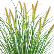 Plante ornementale artificielle de type queue de renard, 100 cm, avec 12 épices, vert et rose, sans pot