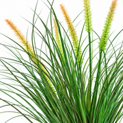 Plante d'herbe ornementale artificielle de type queue de renard, 60 cm, avec 7 épices, vert et rose, sans pot