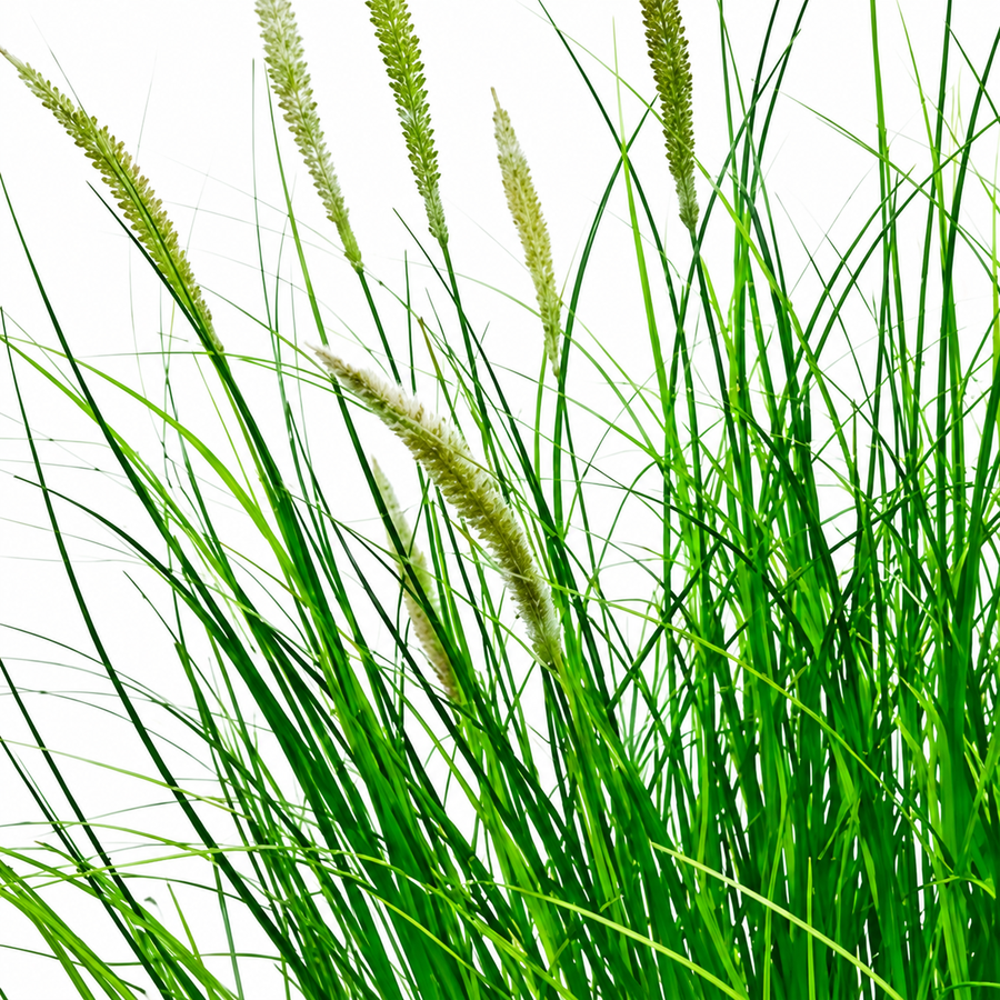 Plante d'herbe ornementale artificielle, 80 cm, avec 33 épices, verte et blanche, sans pot