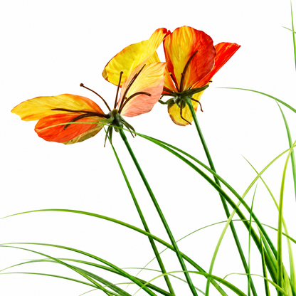 Plante ornementale artificielle en forme de papillon, 60 cm, avec 5 fleurs, verte et rouge, sans pot