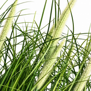 Plante artificielle, sétaire ornementale en pot, 61 cm, avec 19 épices, vert et blanc