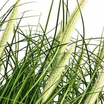 Plante artificielle, sétaire ornementale en pot, 61 cm, avec 19 épices, vert et blanc