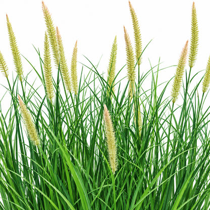 Plante artificielle, herbe ornementale en pot sétaire, 70 cm, avec 25 épices, vert et rose