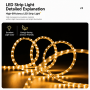 Tablou Sticla cu iluminare LED Eclipsa de Aur, Diametru 80 cm, 24W, Lumina Neutra, Aliaj de Aluminiu si MDF