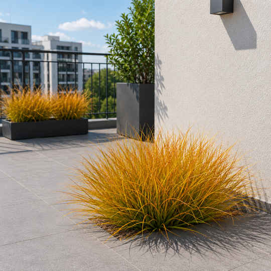Plante artificielle d'herbe d'oignon incurvée, 38 cm, haute densité, jaune et orange, sans pot