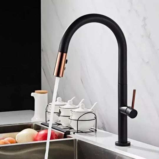 Robinet de cuisine, sanitaire en laiton, noir, CF1035/B Robinets de cuisine Titre par défaut Alessandro Design