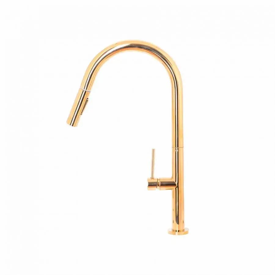 Robinet de Cuisine avec Douche Extractible, Sanitaire en Laiton, Or, CF2043