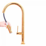 Robinet de Cuisine avec Douche Extractible, Sanitaire en Laiton, Or, CF2043