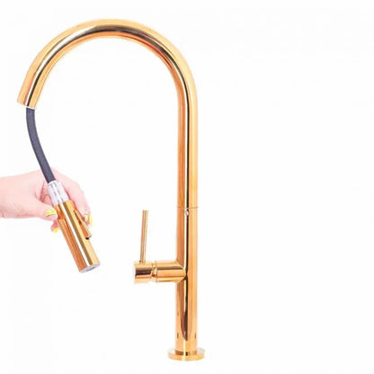 Robinet de Cuisine avec Douche Extractible, Sanitaire en Laiton, Or, CF2043