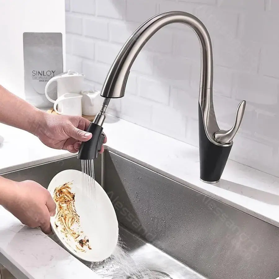 Robinet de Cuisine avec Douche Extractible, Sanitaire en Laiton, Chrome, W058