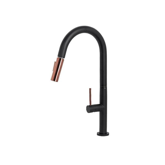Robinet de Cuisine avec Douche Extractible, Sanitaire en Laiton, Noir, CF2042