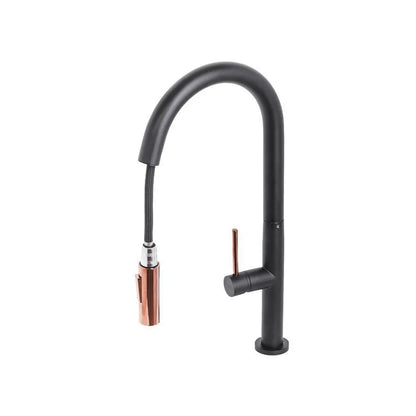 Robinet de Cuisine avec Douche Extractible, Sanitaire en Laiton, Noir, CF2042
